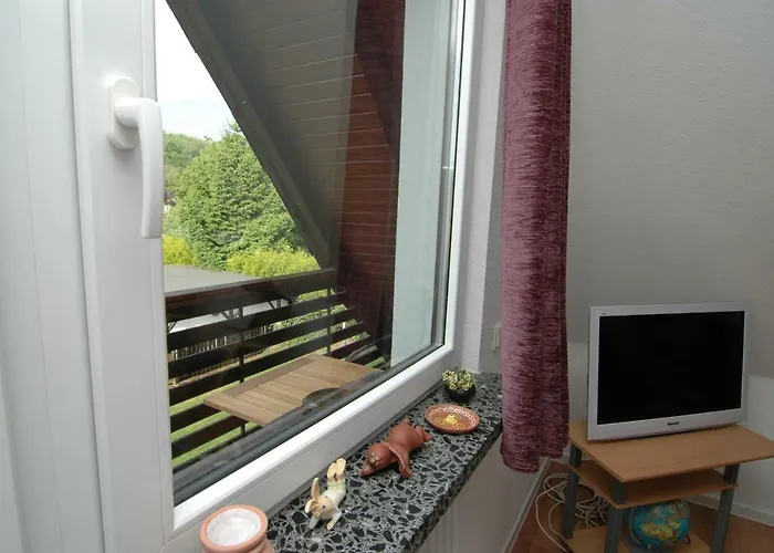 公寓 Sonneneck Scharzfeld